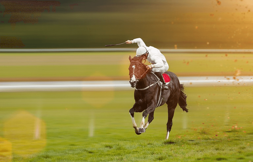 How Horses Are Selected for Major Races