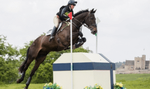 How Jockeys Build Trust With Their Horses