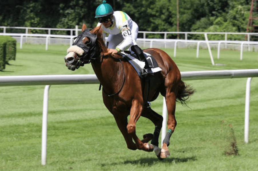 How Jockeys Prepare for Major Races