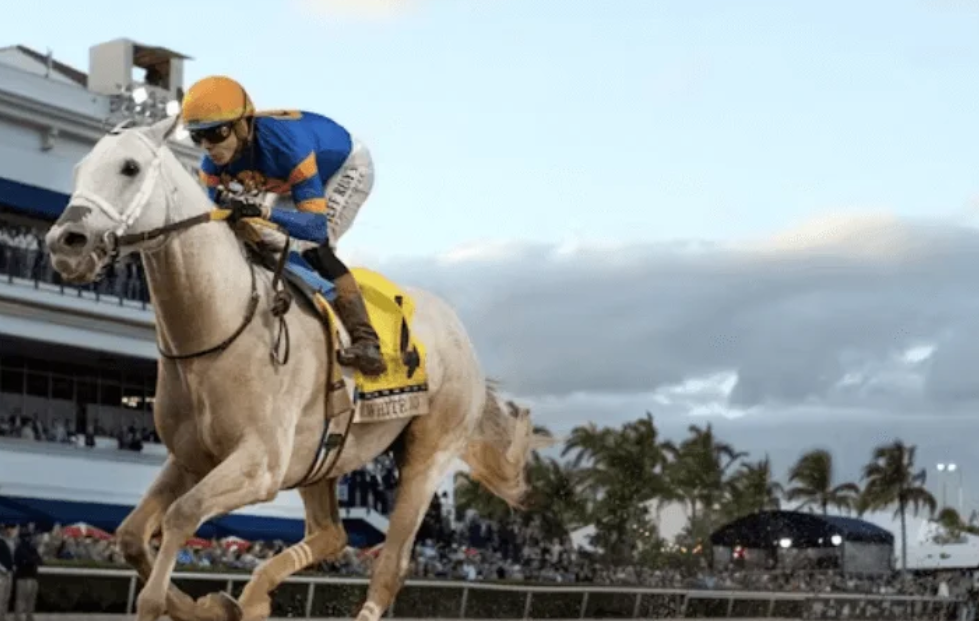 cplemaire || cplemaire couplé du jour || cplemaire la voyeuse || cplemaire 18 || cplemaire pmu || cplemaire turf